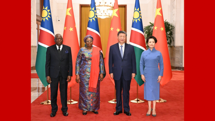 习近平同纳米比亚总统恩代特瓦会谈